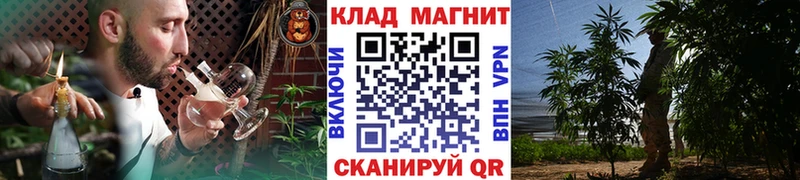 Где можно купить наркотики Нарткала Амфетамин Псилоцибиновые грибы СК МЕФ Кокаин Гашиш Каннабис