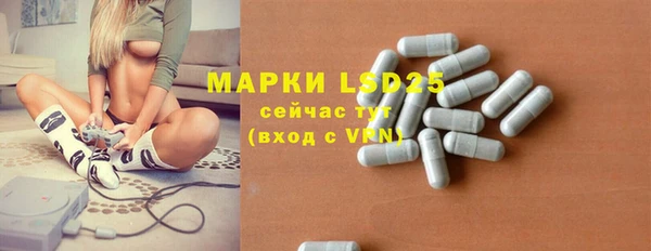 шишки Арсеньев