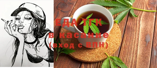 шишки Арсеньев