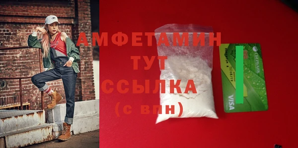шишки Арсеньев
