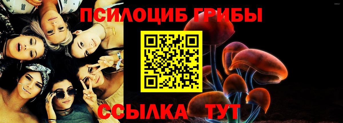 Нарткала  Псилоцибиновые грибы MAGIC MUSHROOMS  Вход с VPN  сколько стоит  Галлюциногенные грибы Magic Shrooms 