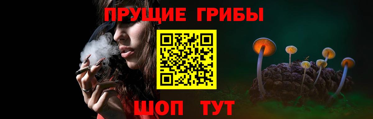 Галлюциногенные грибы Cubensis Нарткала